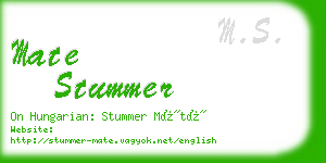 mate stummer business card
